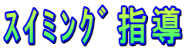 ���ݸގw��